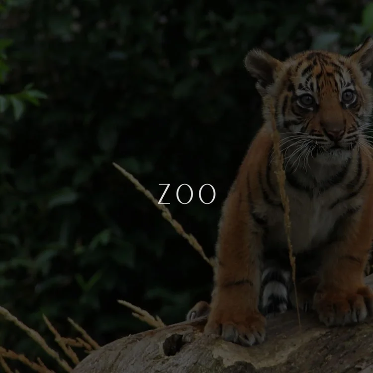 London Zoo em Londres