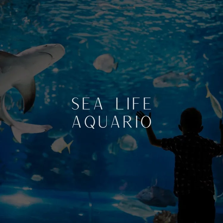SEA LIFE London Aquarium em Londres