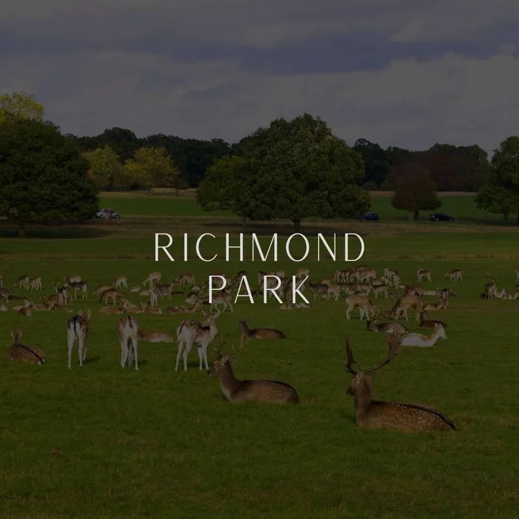 Richmond Park em Londres