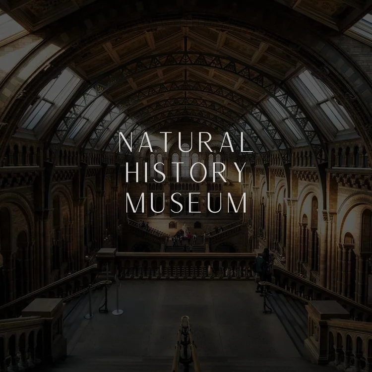 Natural History Museum em Londres