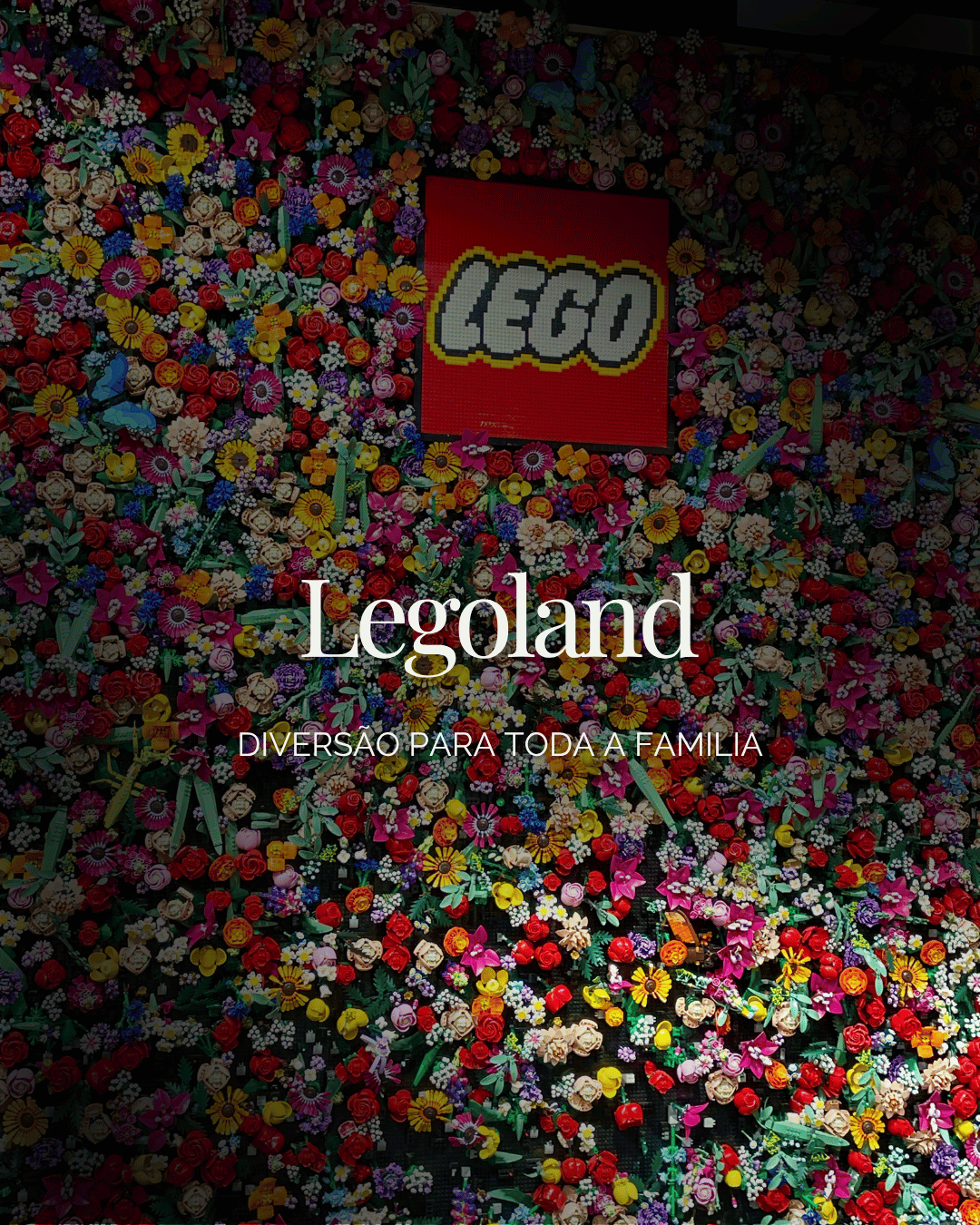 Ingressos e transfer para parque Legoland em Londres, oportunidade única para diversão com toda a família.