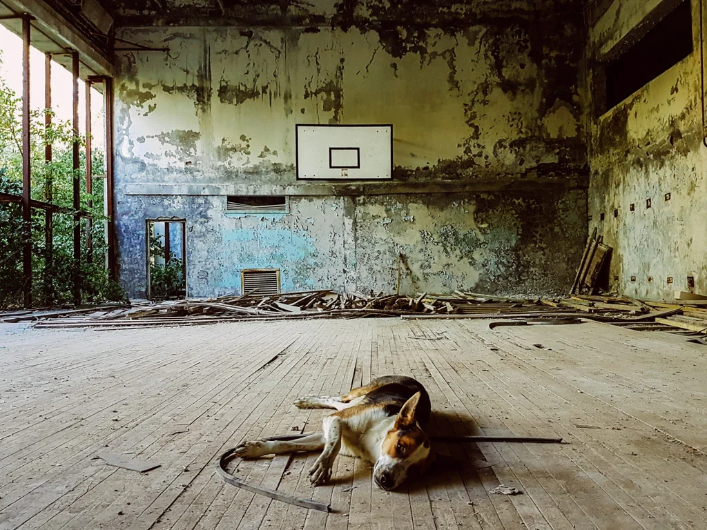 chernobyl-basketball.jpg