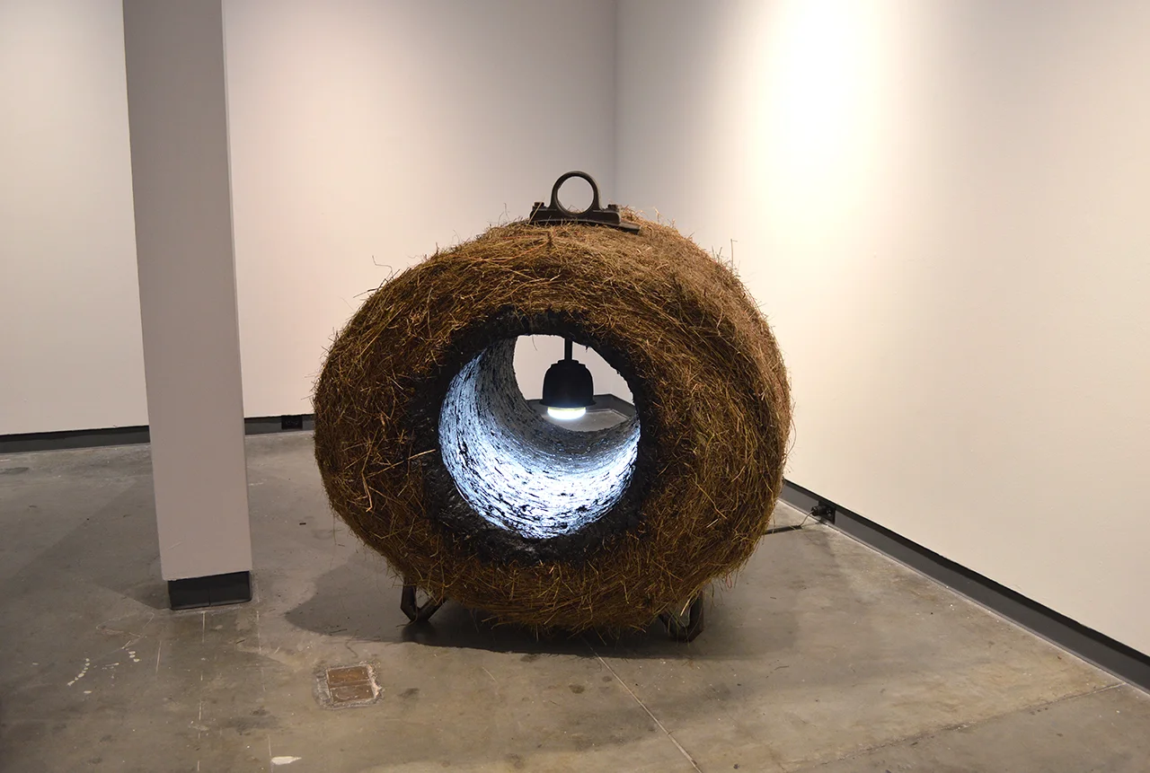 whorl_01.jpg