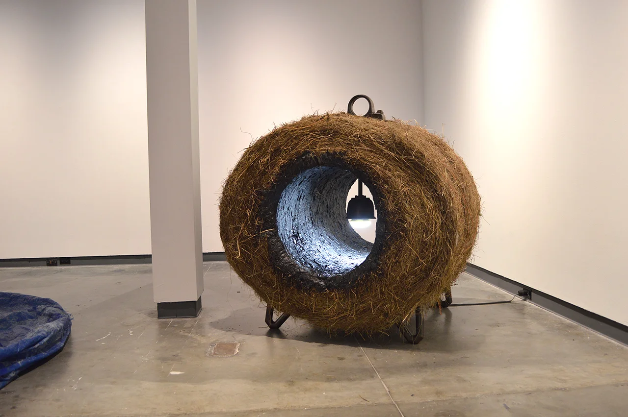 whorl_03.jpg