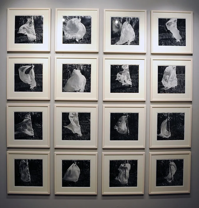 A CourtshipDance of One (on exhibition)