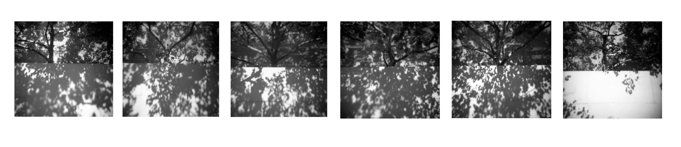 A wall of light (2005)