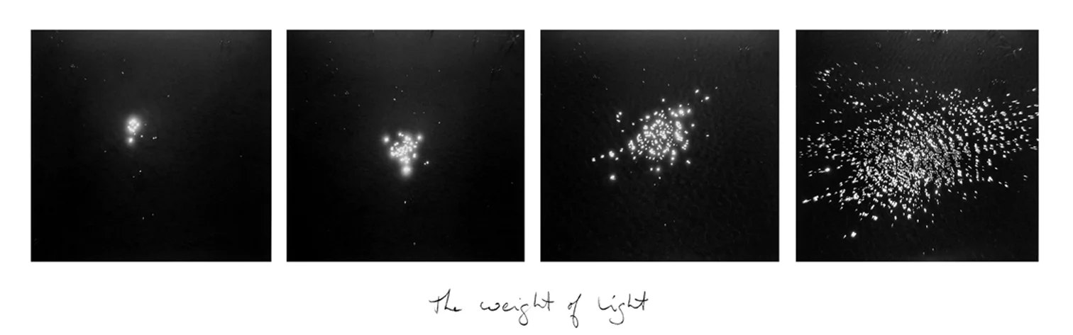 The weight of light 1999.jpg