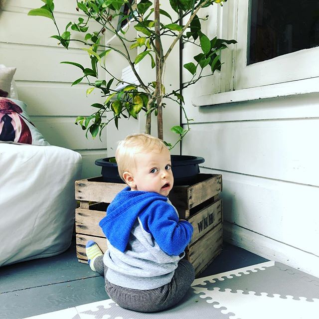 Now that we have visited that toilet bowl, let&rsquo;s see what&rsquo;s in this pot... 🤭🙈 #hendrixrasmusjohan
&bull;
&bull;
&bull;
&bull;
&bull;
#wellmama #mom #mama #newmom #healthymom #momlife #motherhood #dailymotherhood #motherhoodunplugged #mo