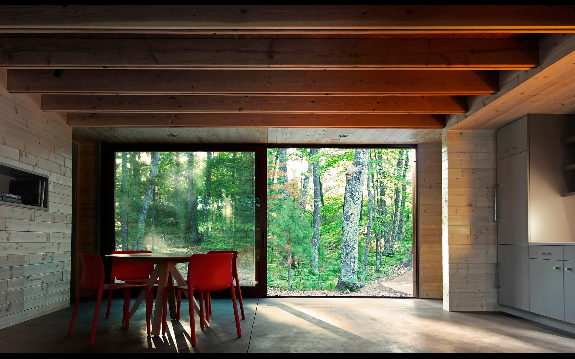 Linear Cabin_006.jpg