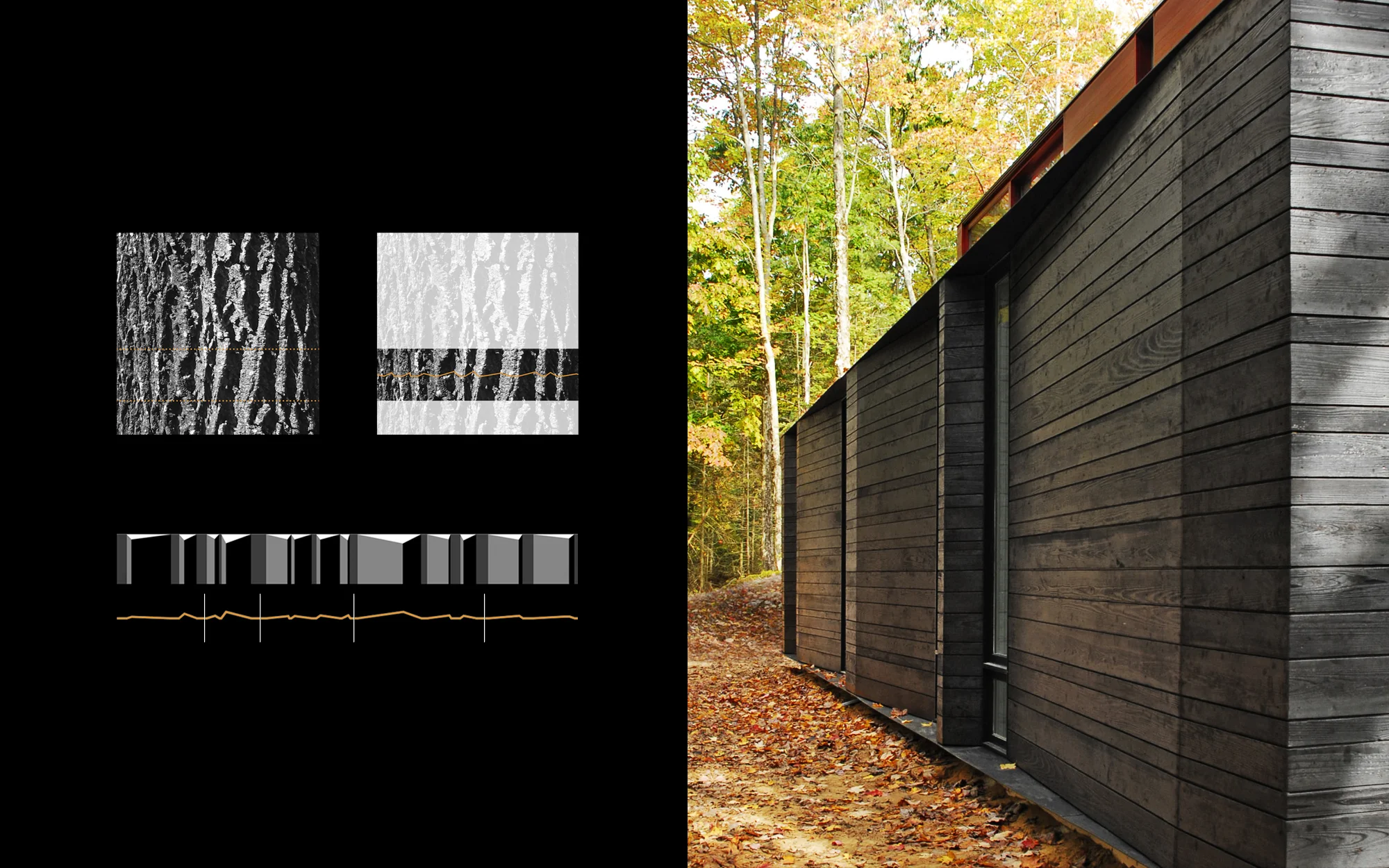 Pleated_006.jpg