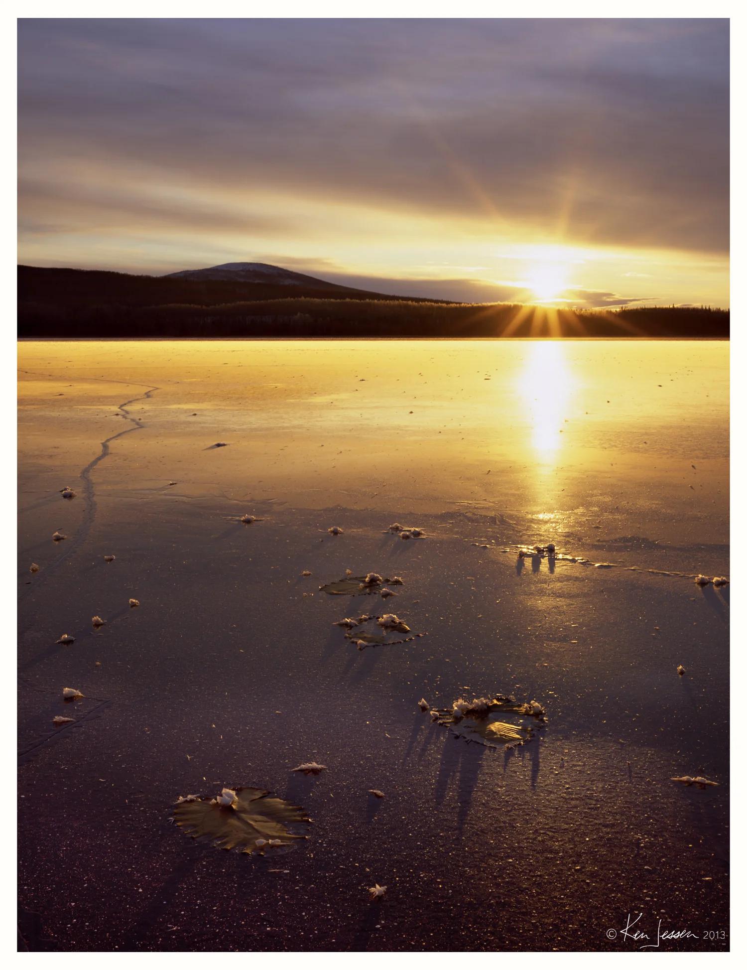 Lily Pads and Winter Sunrise