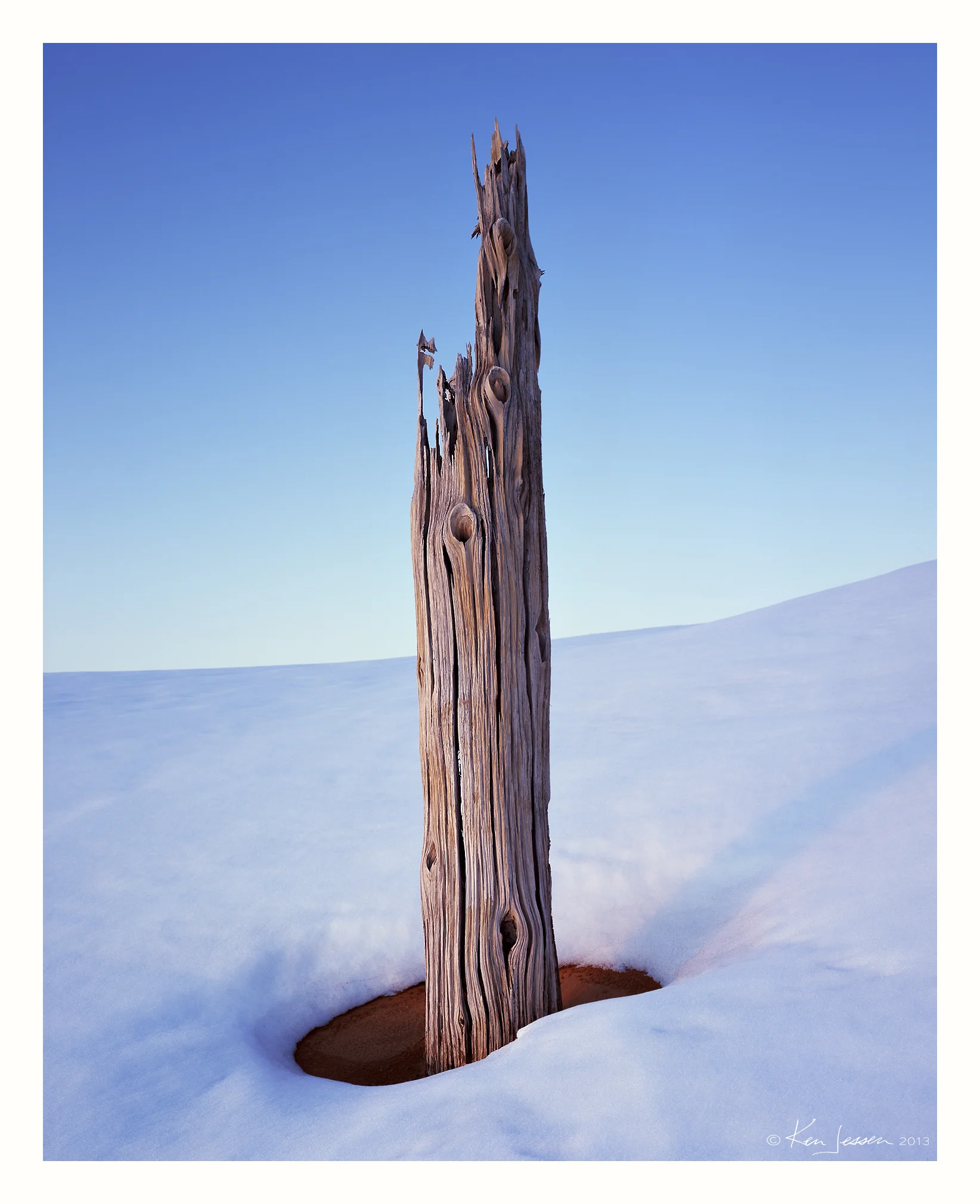 Lone Snag, Red Sand and Snow