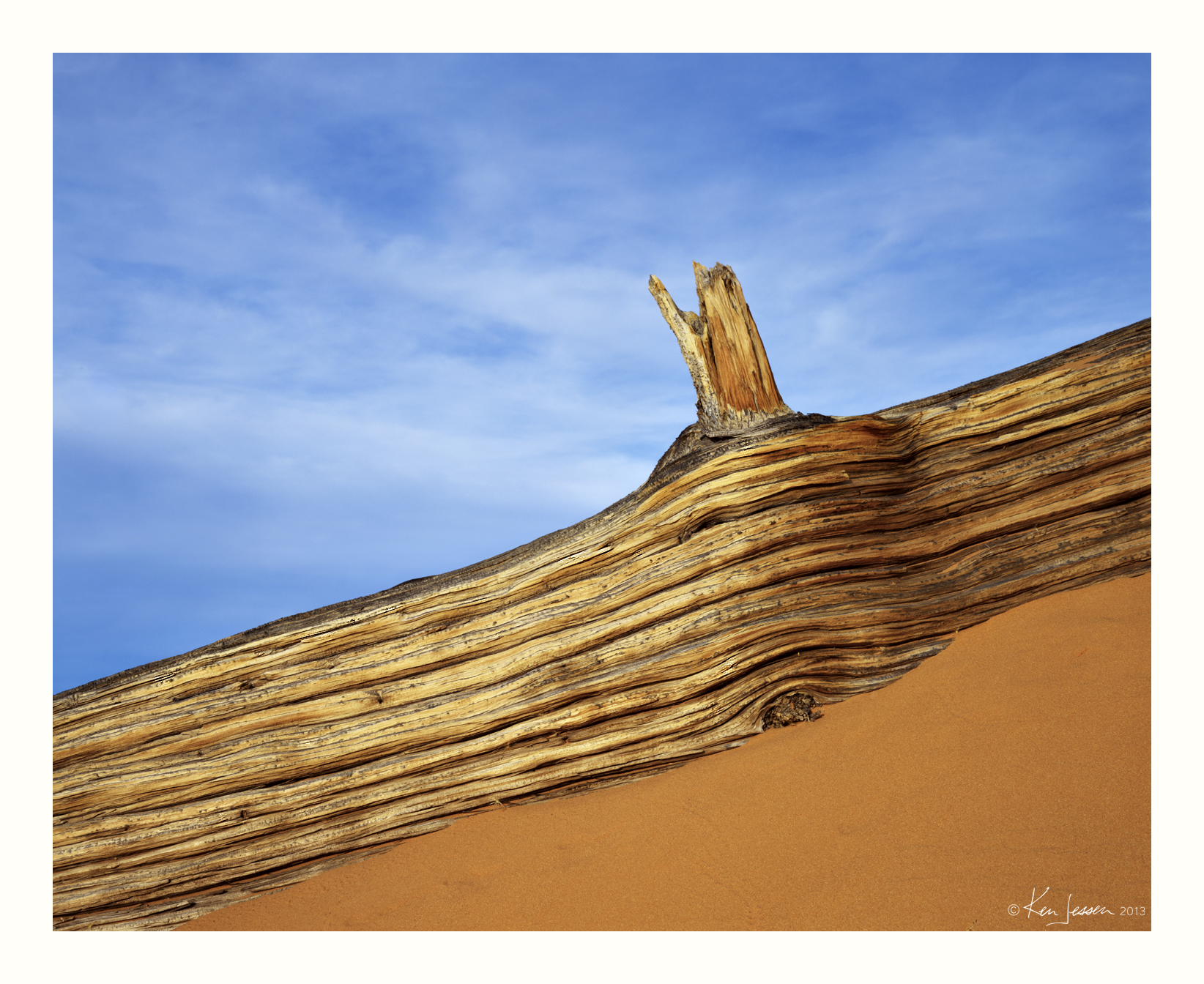 Log, Sand and Sky