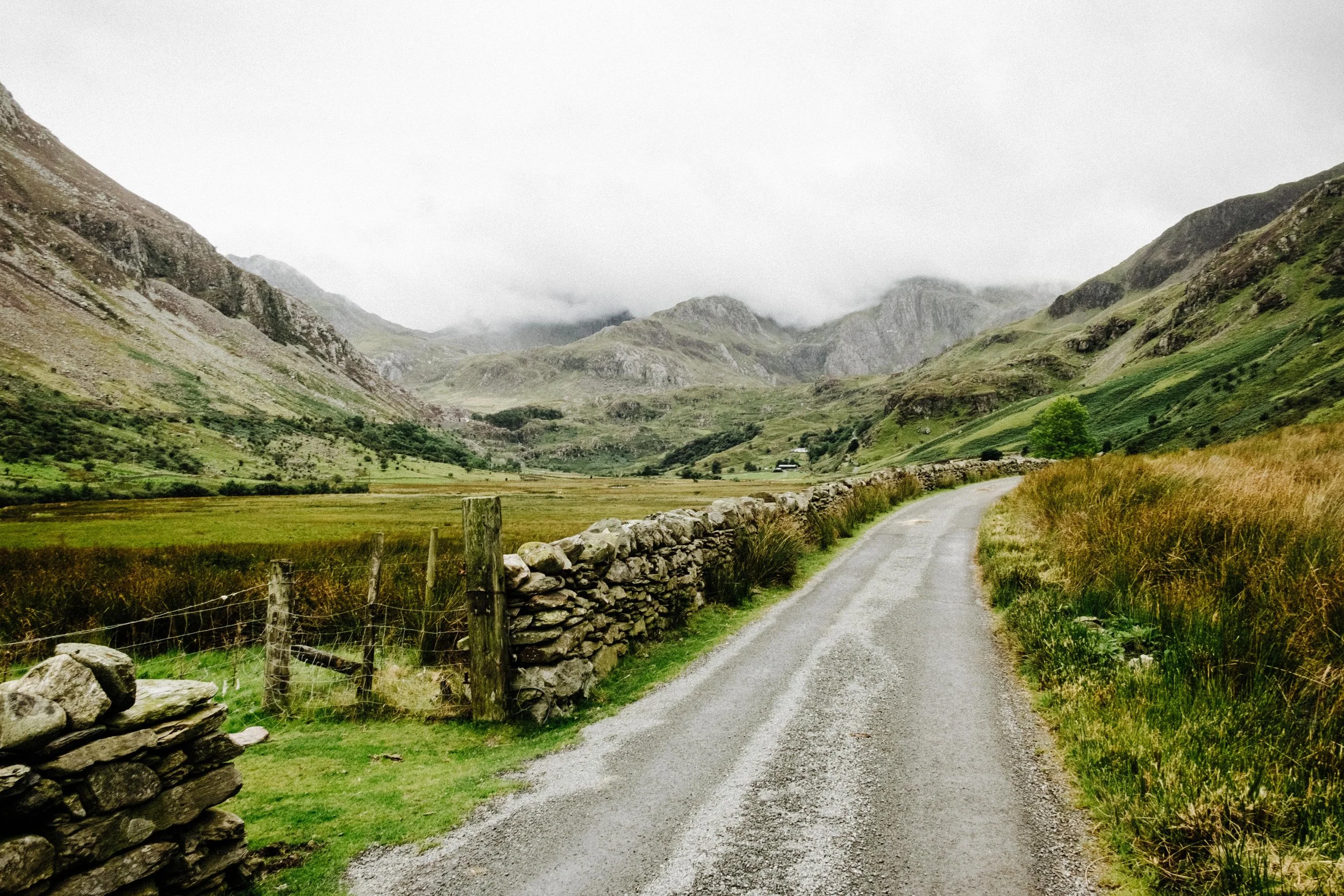 DSCF2686.jpg