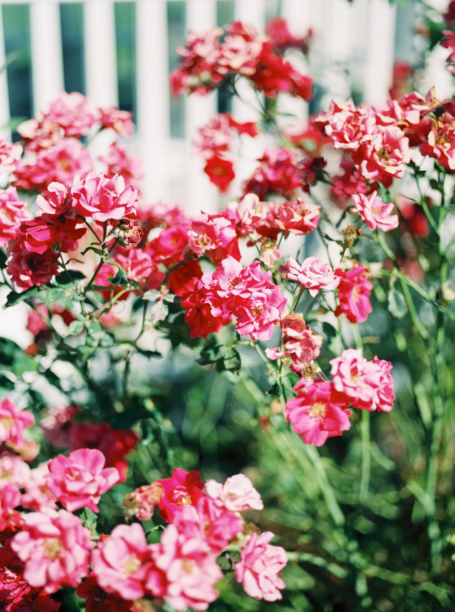 Details-36.jpg