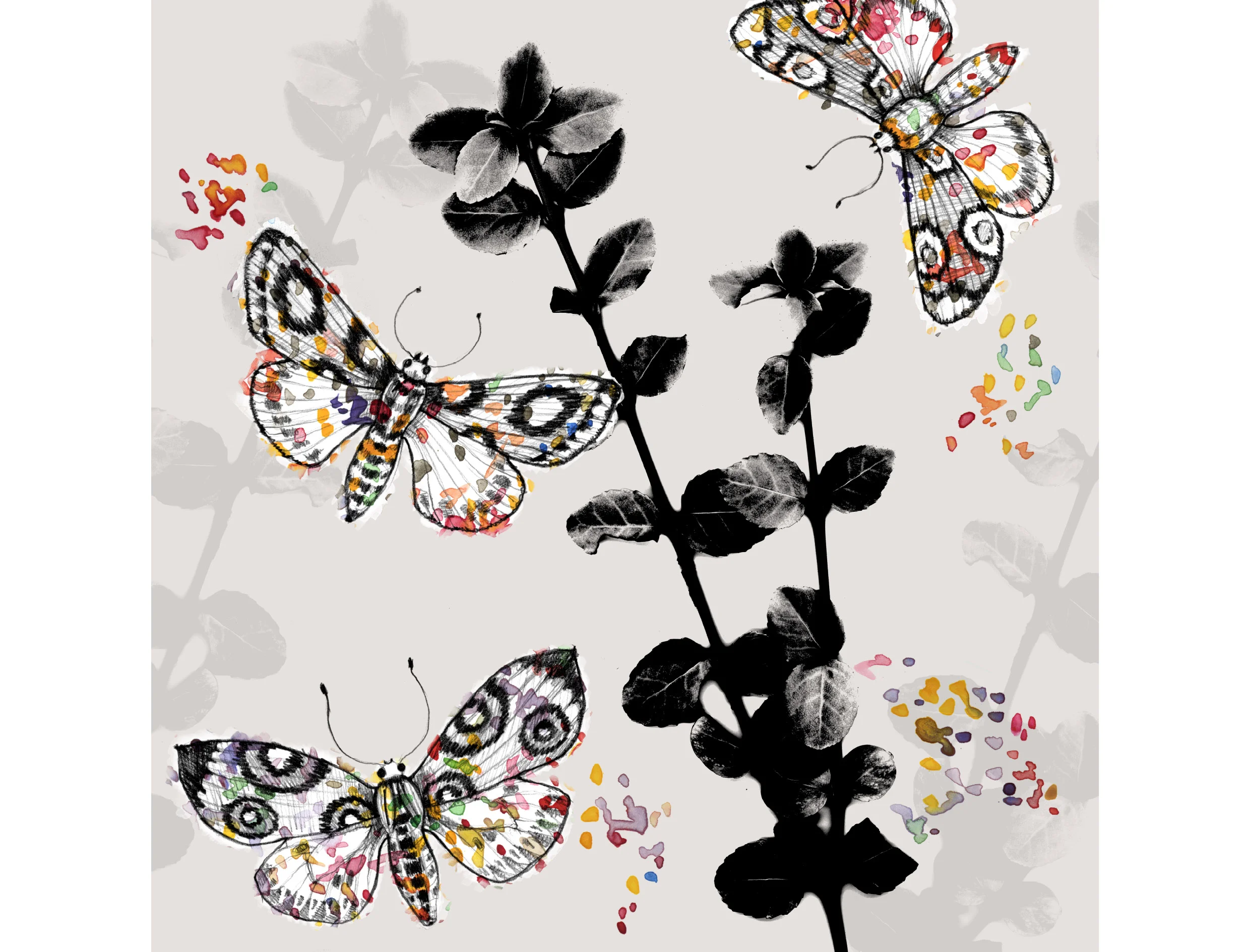 portfolio-ipad-21x16cm-01-floral027.jpg