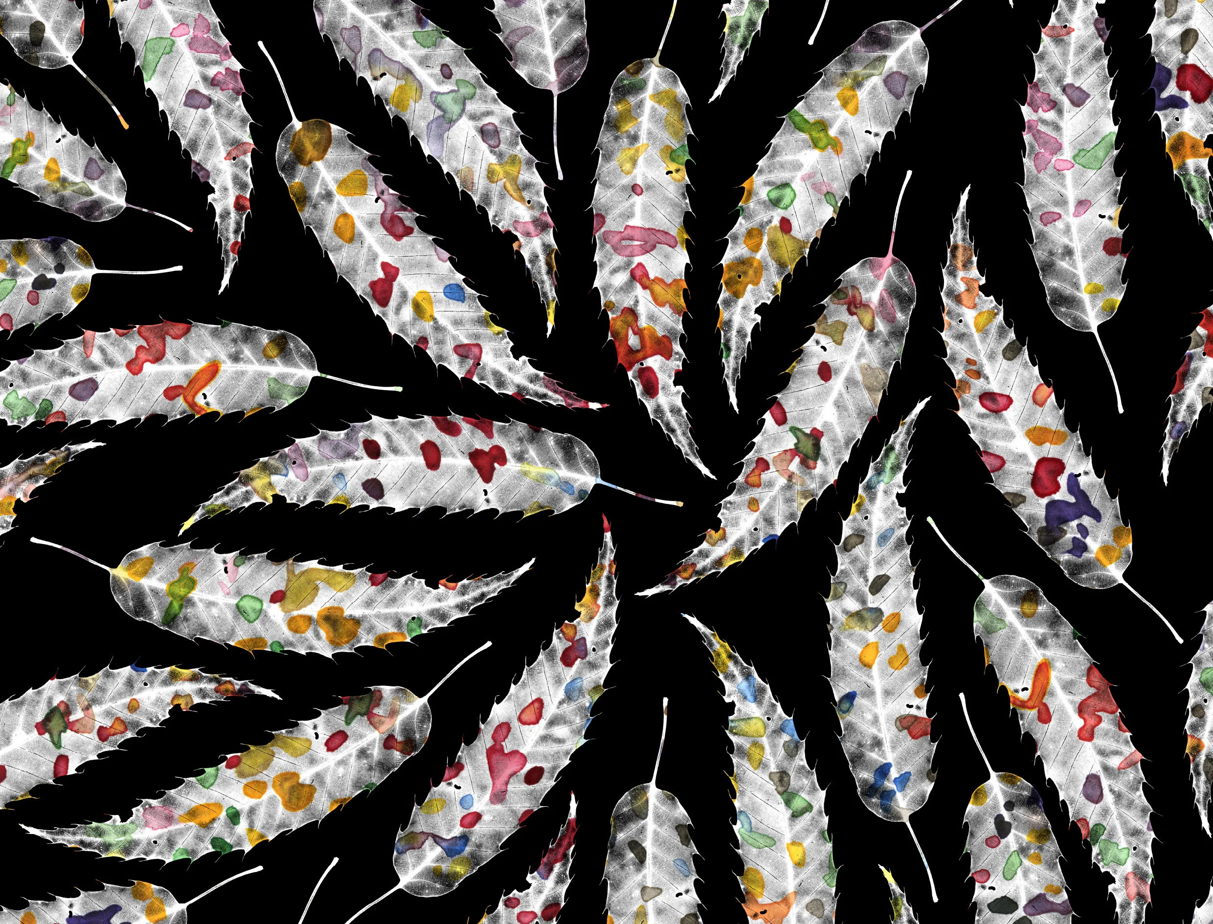 portfolio-ipad-21x16cm-01-floral0215.jpg