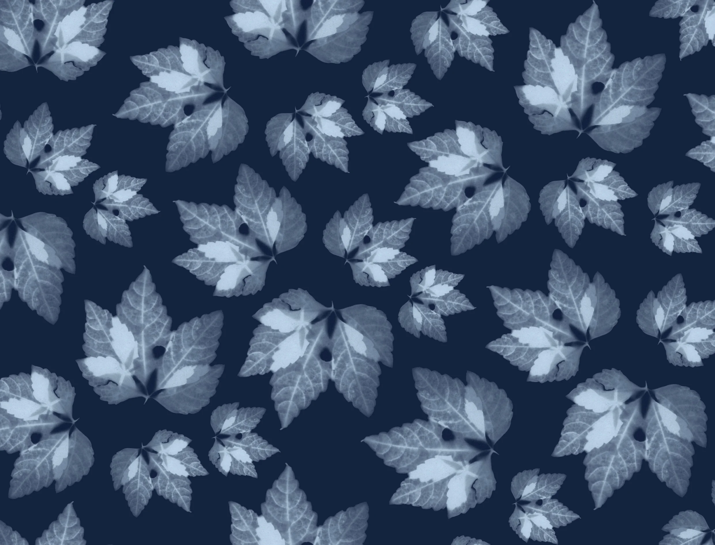 portfolio-ipad-21x16cm-01-floral0217.jpg