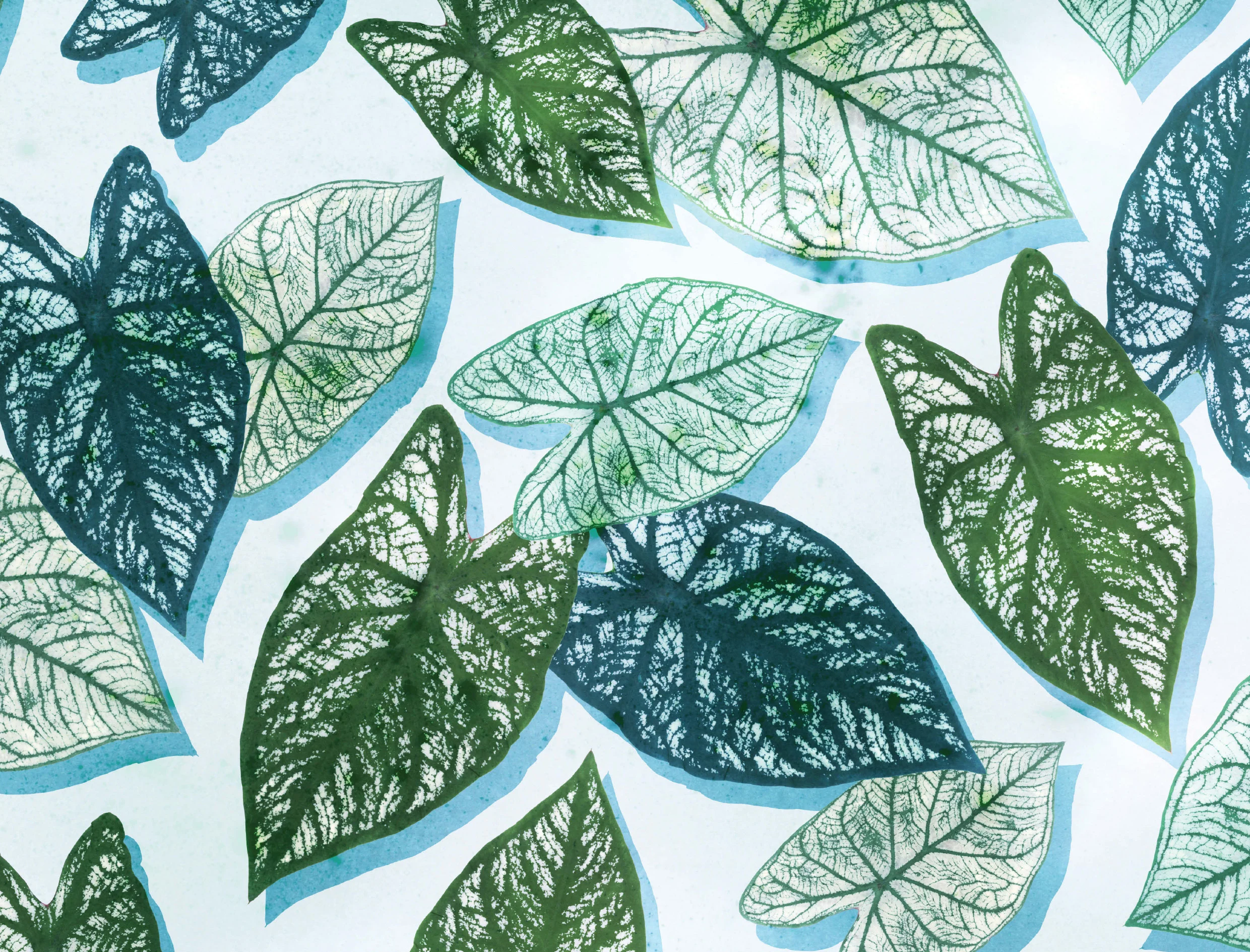 portfolio-ipad-21x16cm-01-floral0226.jpg
