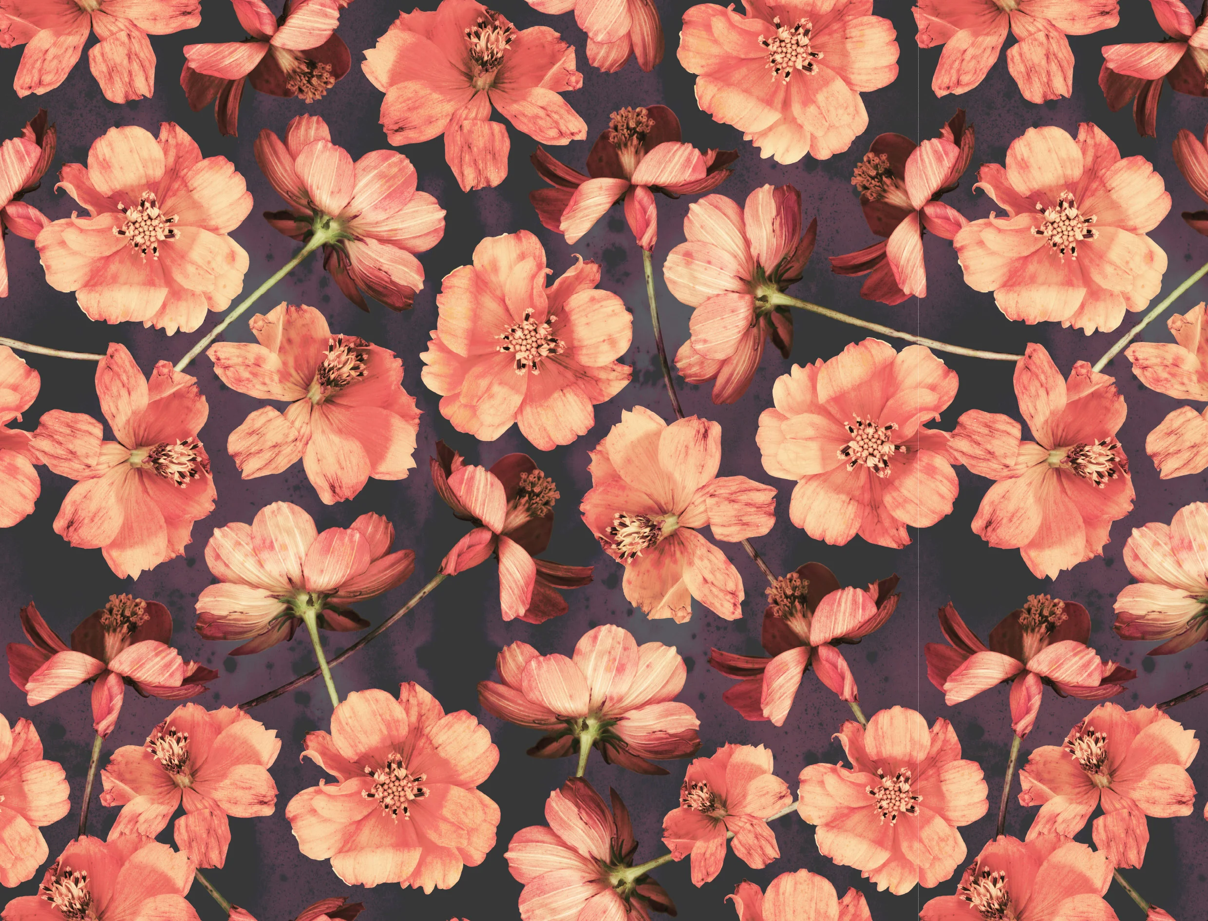 portfolio-ipad-21x16cm-01-floral0225.jpg