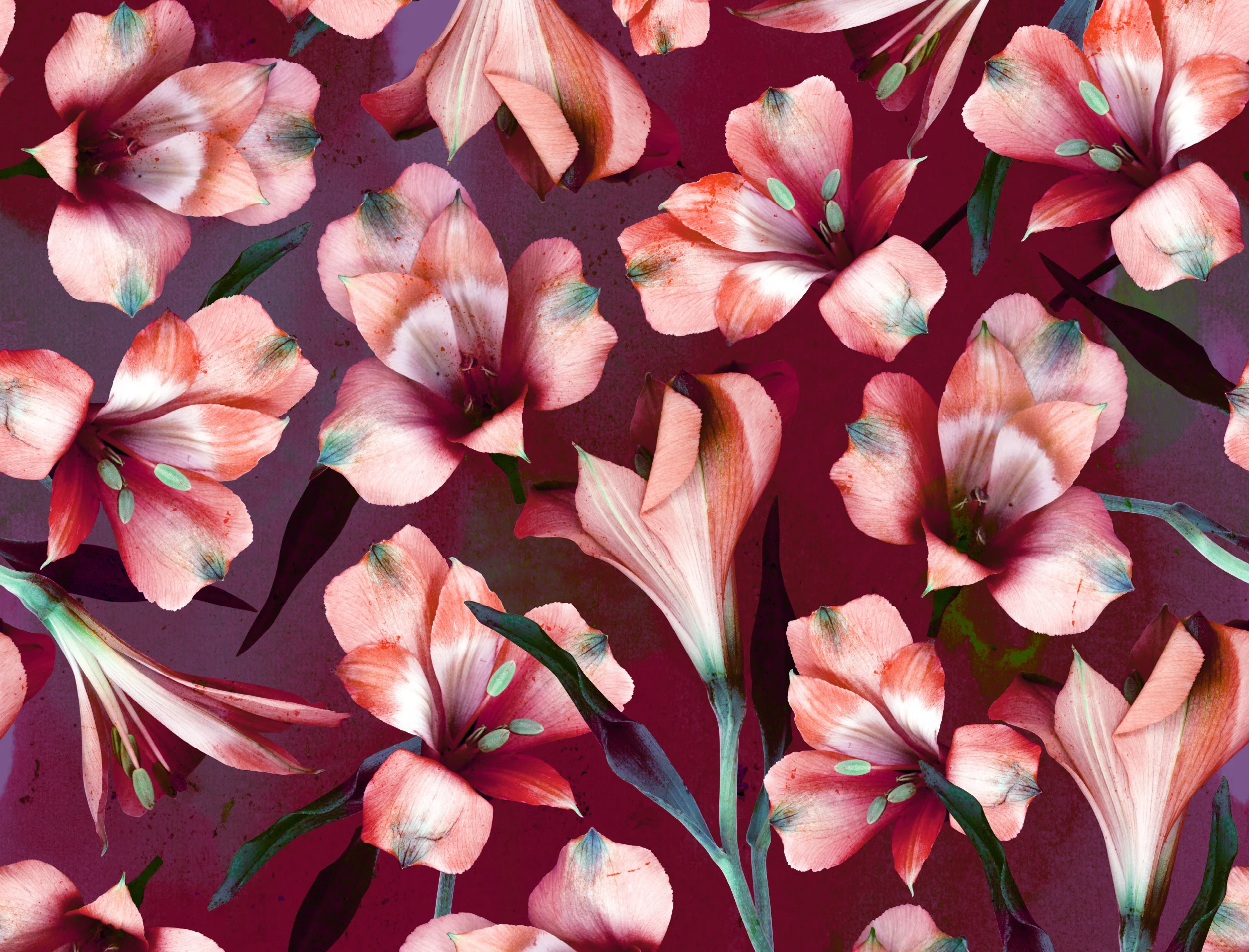 portfolio-ipad-21x16cm-01-floral0229.jpg