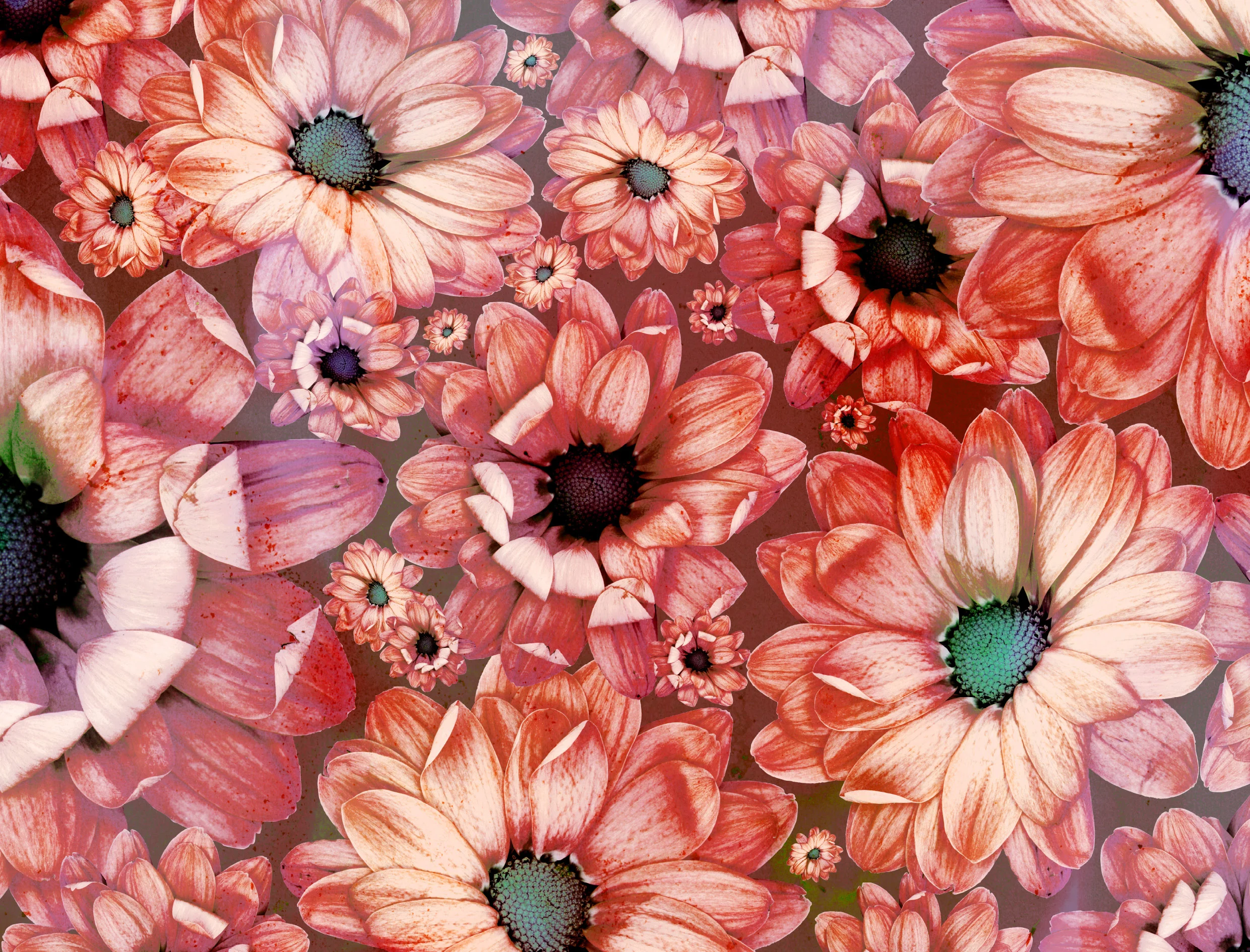 portfolio-ipad-21x16cm-01-floral0231.jpg