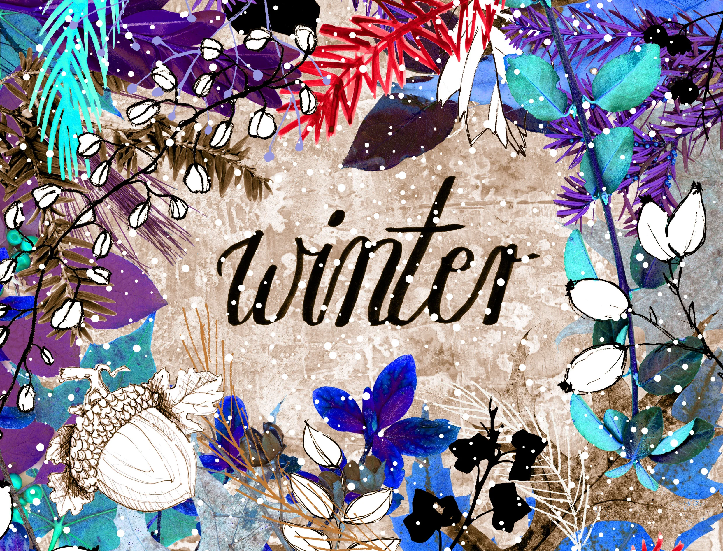 portfolio-ipad-21x16cm-01-floral0245.jpg