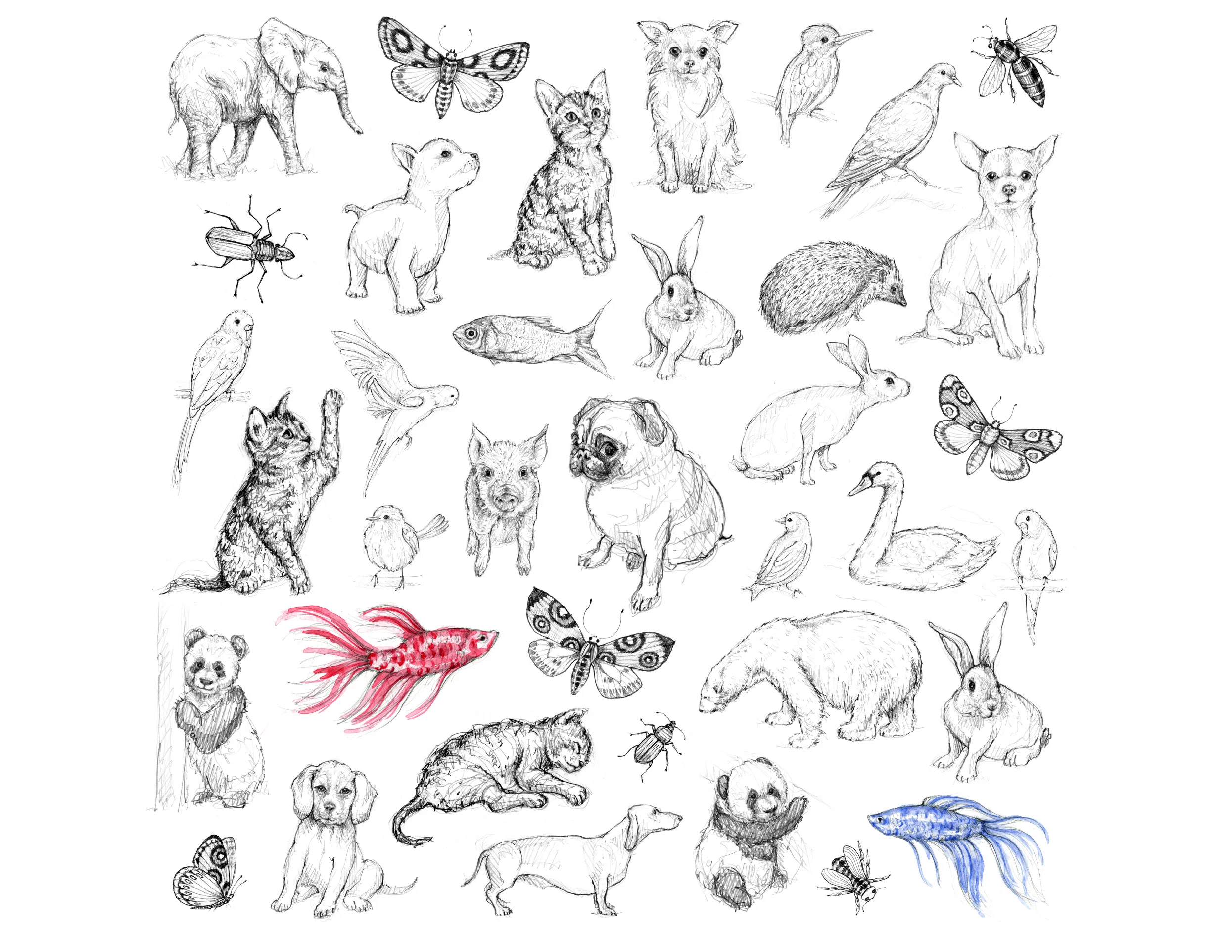portfolio-ipad-21x16cm-01-illustration0211.jpg
