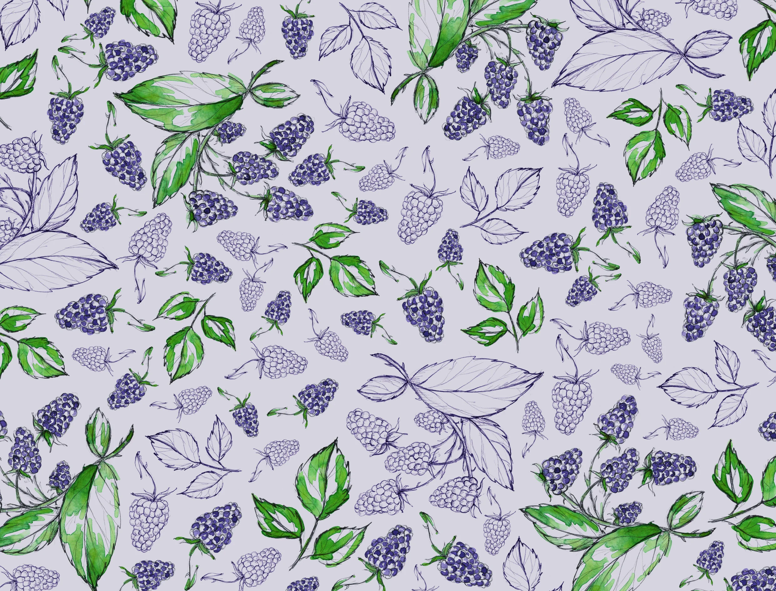portfolio-ipad-21x16cm-01-illustration0224.jpg