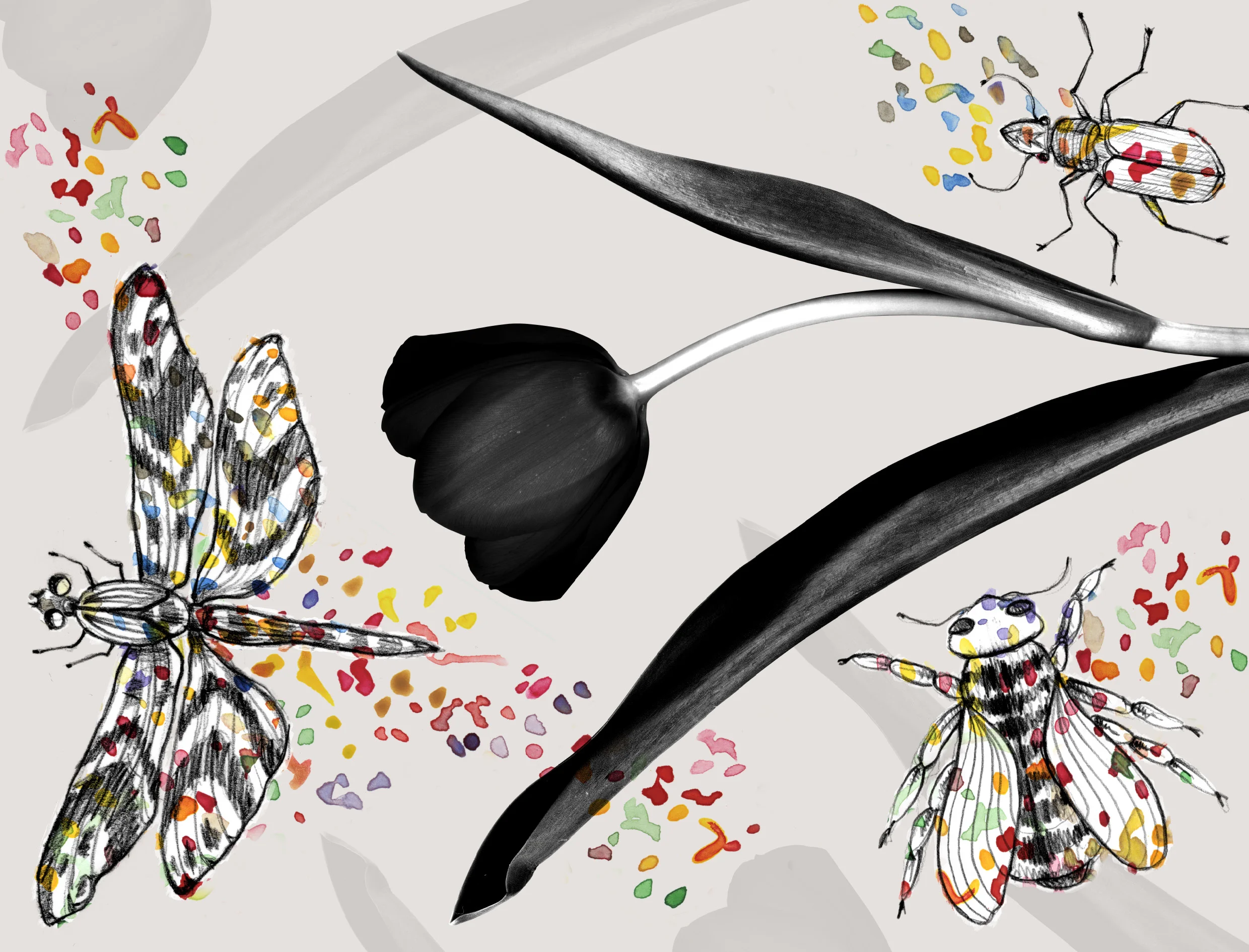 portfolio-ipad-21x16cm-01-illustration0251.jpg