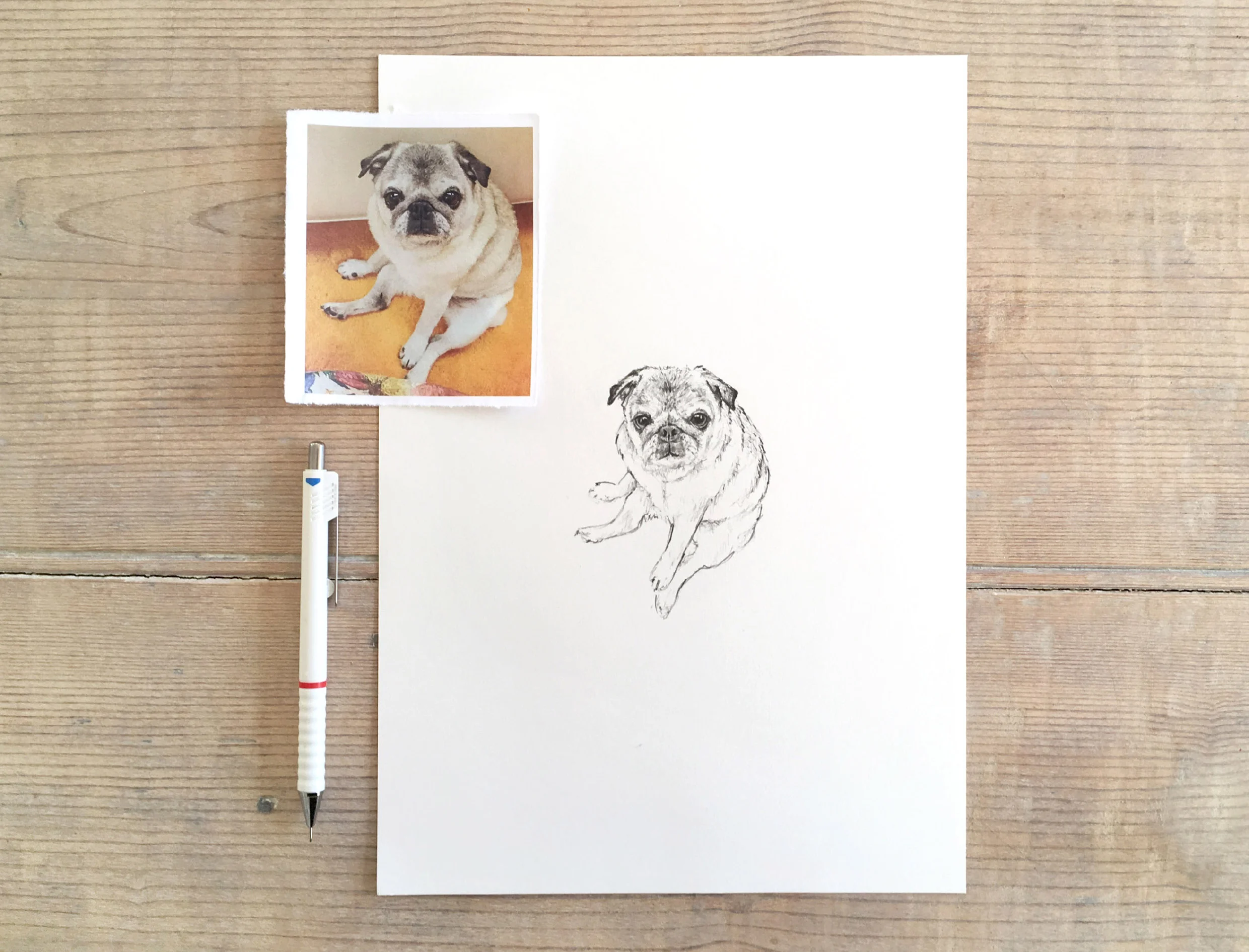 portfolio-ipad-21x16cm-01-illustration0281.jpg