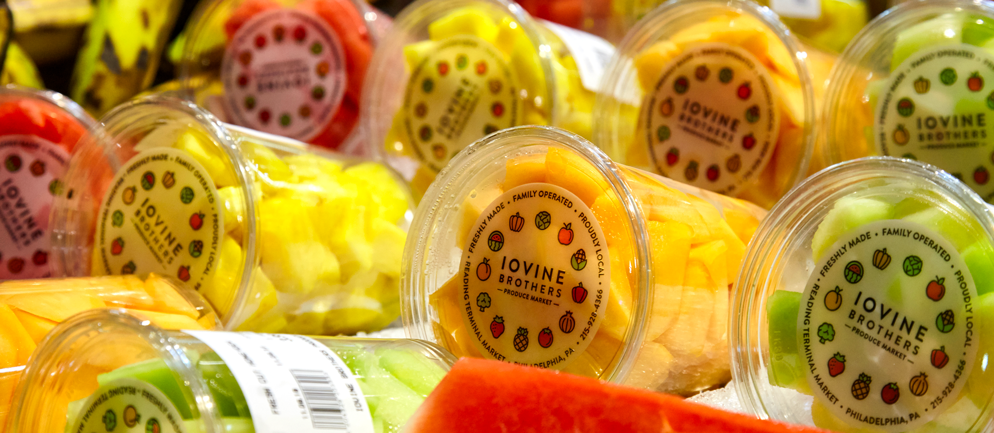 Iovine_Web_Images-3.png