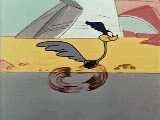 roadrunner-gif-2.gif
