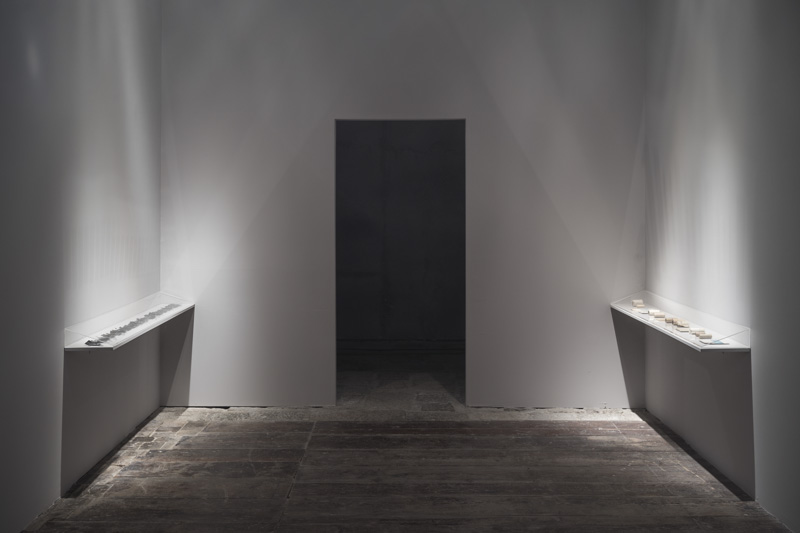 Biasiucci_Biennale_Ambrosio-4.jpg