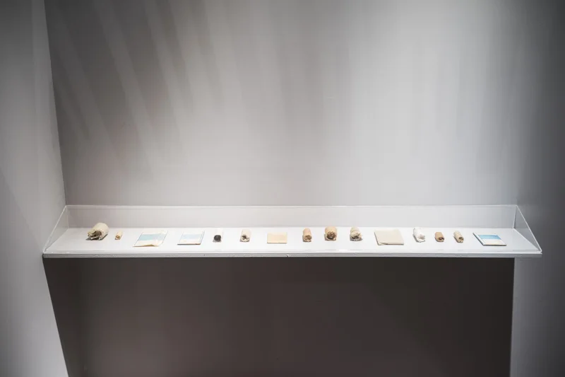 Biasiucci_Biennale_Ambrosio-5.jpg
