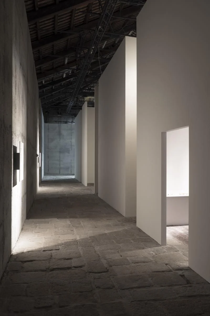 Biasiucci_Biennale_Ambrosio-10.jpg