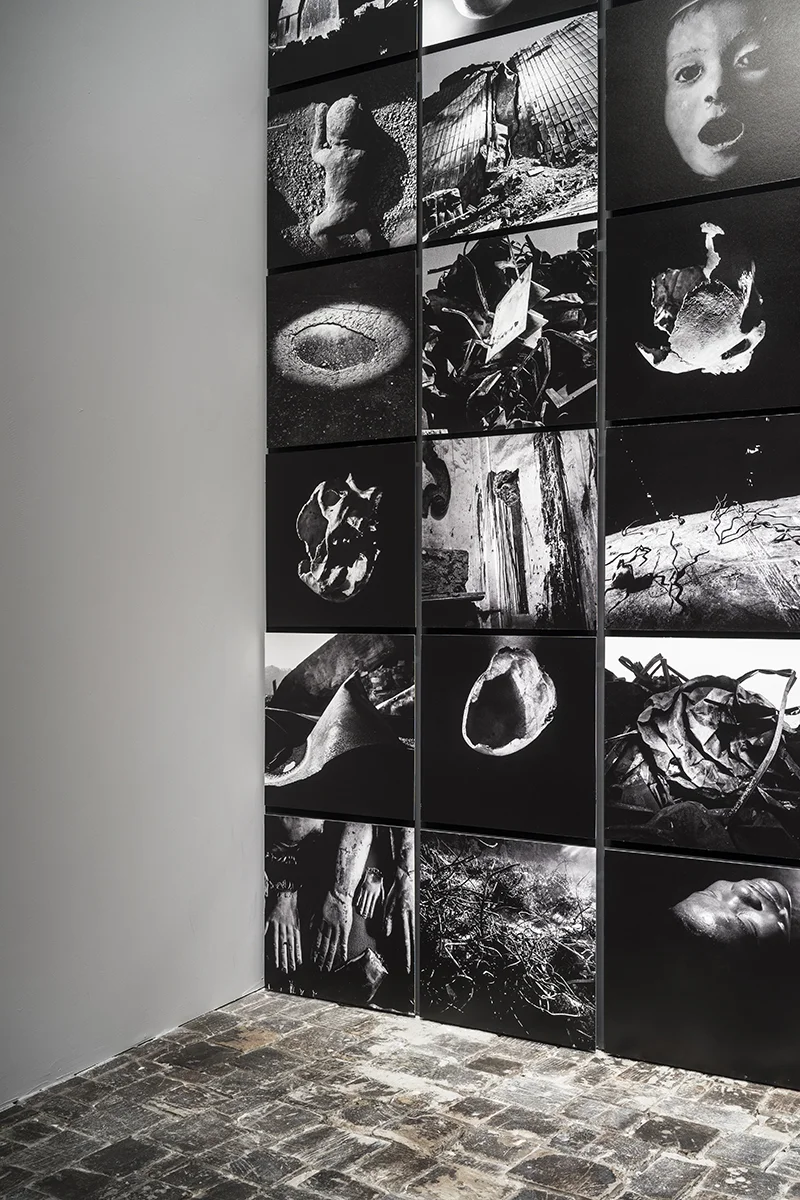 Biasiucci_Biennale_Ambrosio-2.jpg