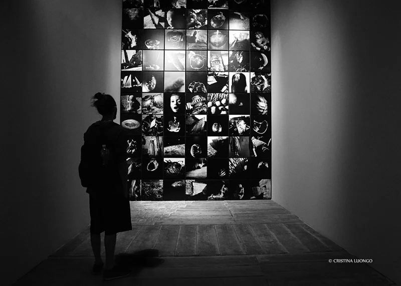 DSC_6941.jpeg