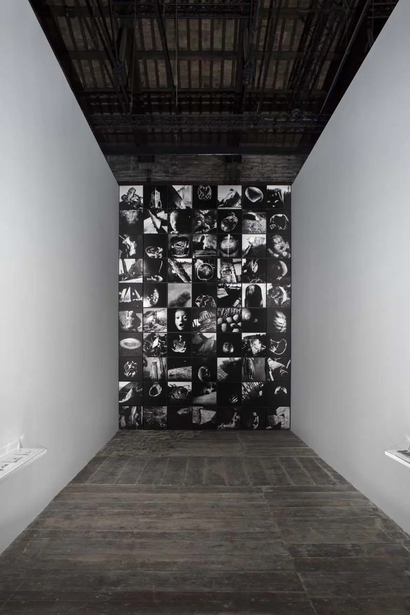 Biasiucci_Biennale_Ambrosio-1.jpg