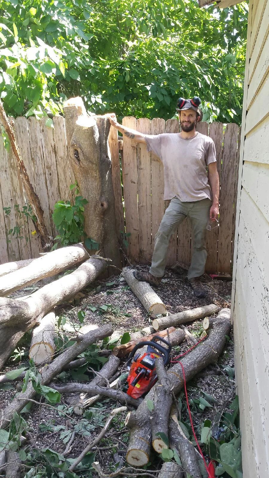 Small Tree Removal
