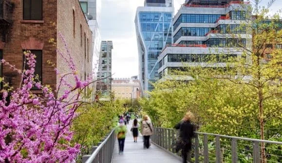 High Line Photo Walk