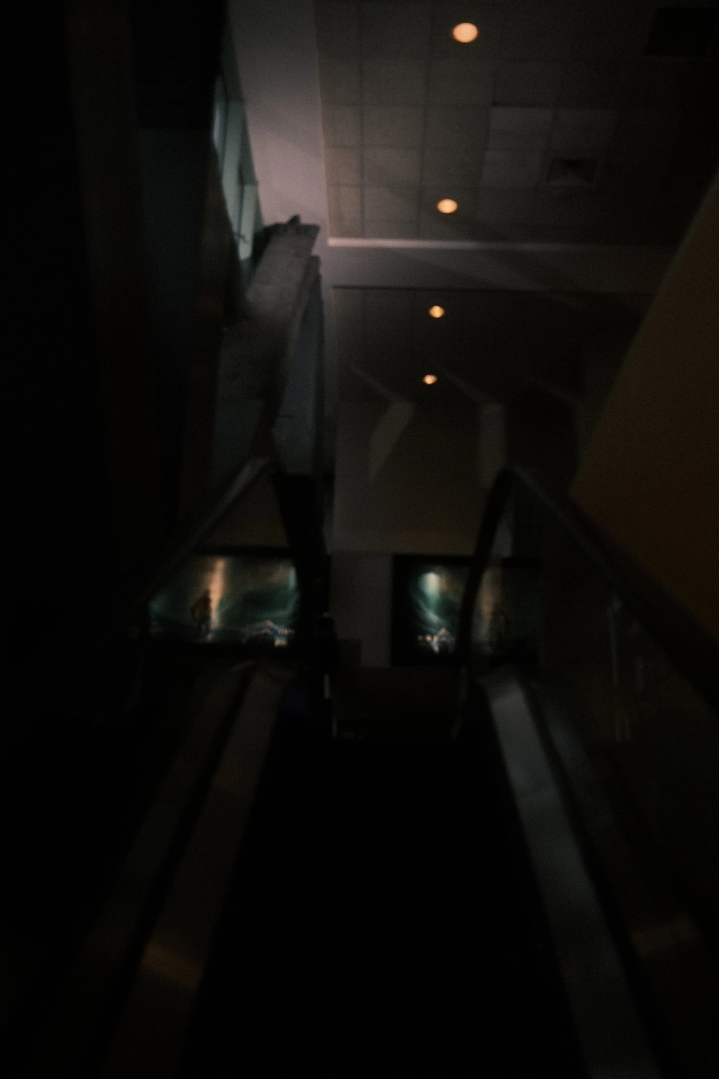 DSCF7549.JPG