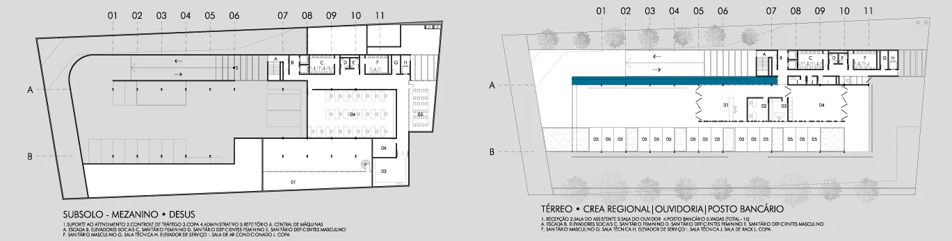 planta2.jpg