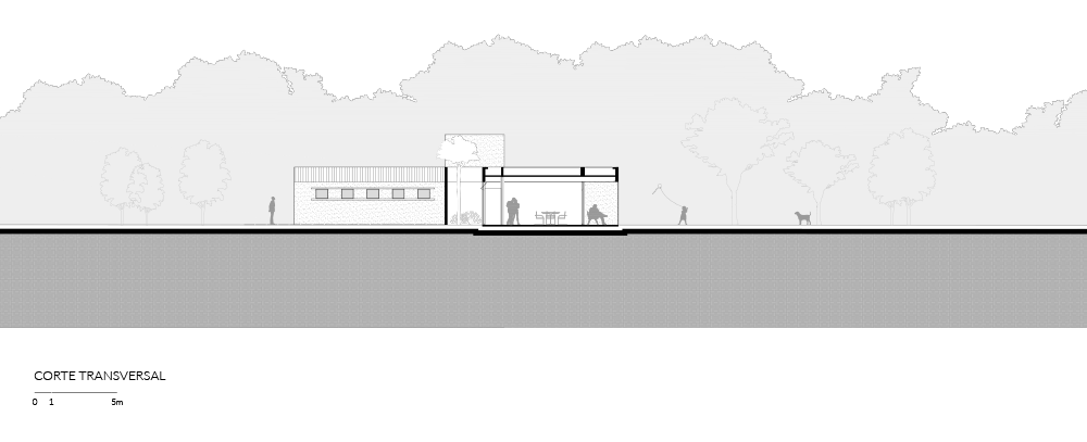 RLK-SITE_CORTE TRANSVERSAL.png