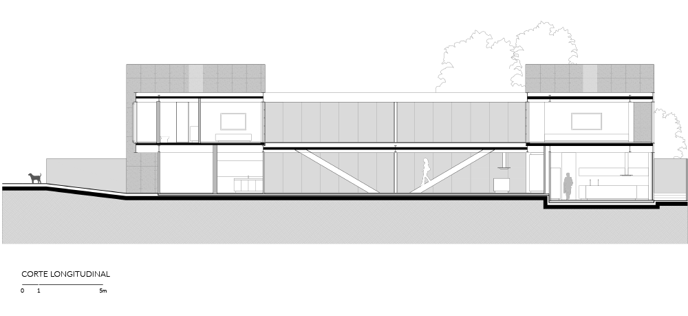 RSF-SITE_CORTE LONGITUDINAL.png