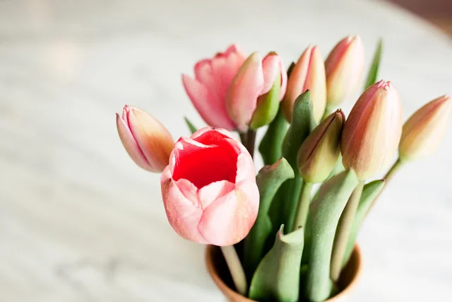 Spring tulips, perfect to complement your Easter table. Photo from Raining Sheep .