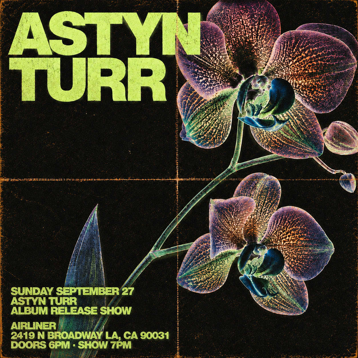 ASTYN Airliner Show Draft5.png