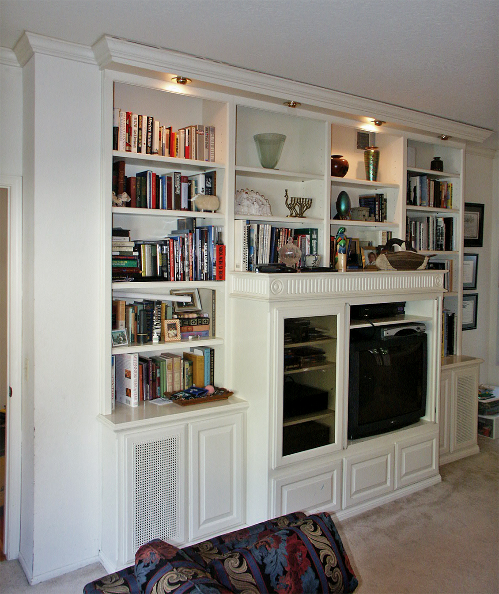 bookcase and media built in