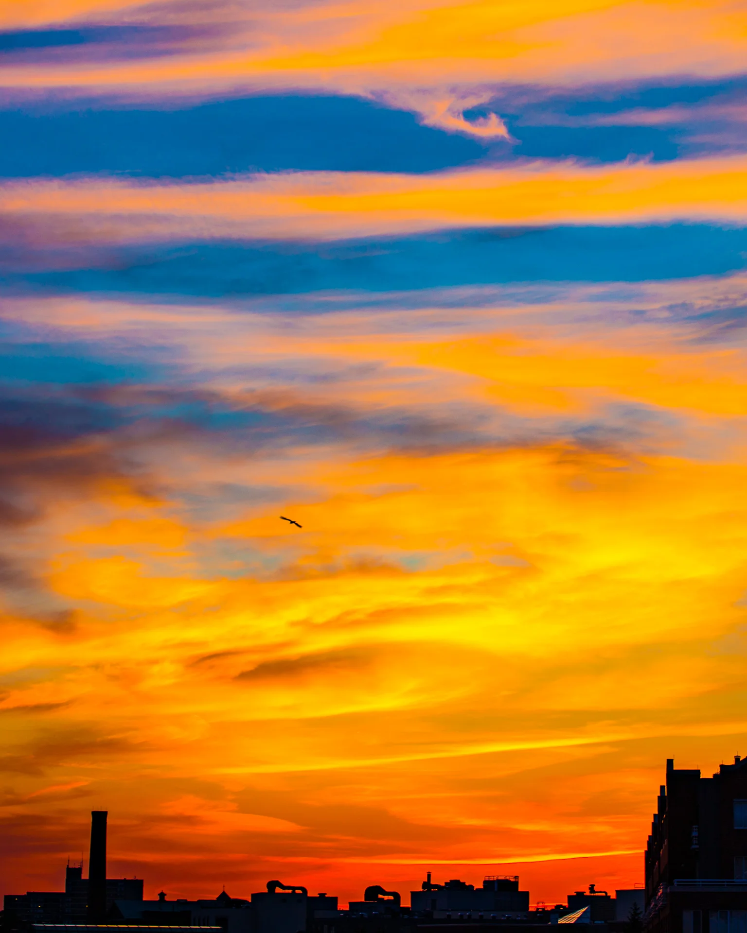 Sterling_Sanders_-_Boston_Sunset-1.jpg