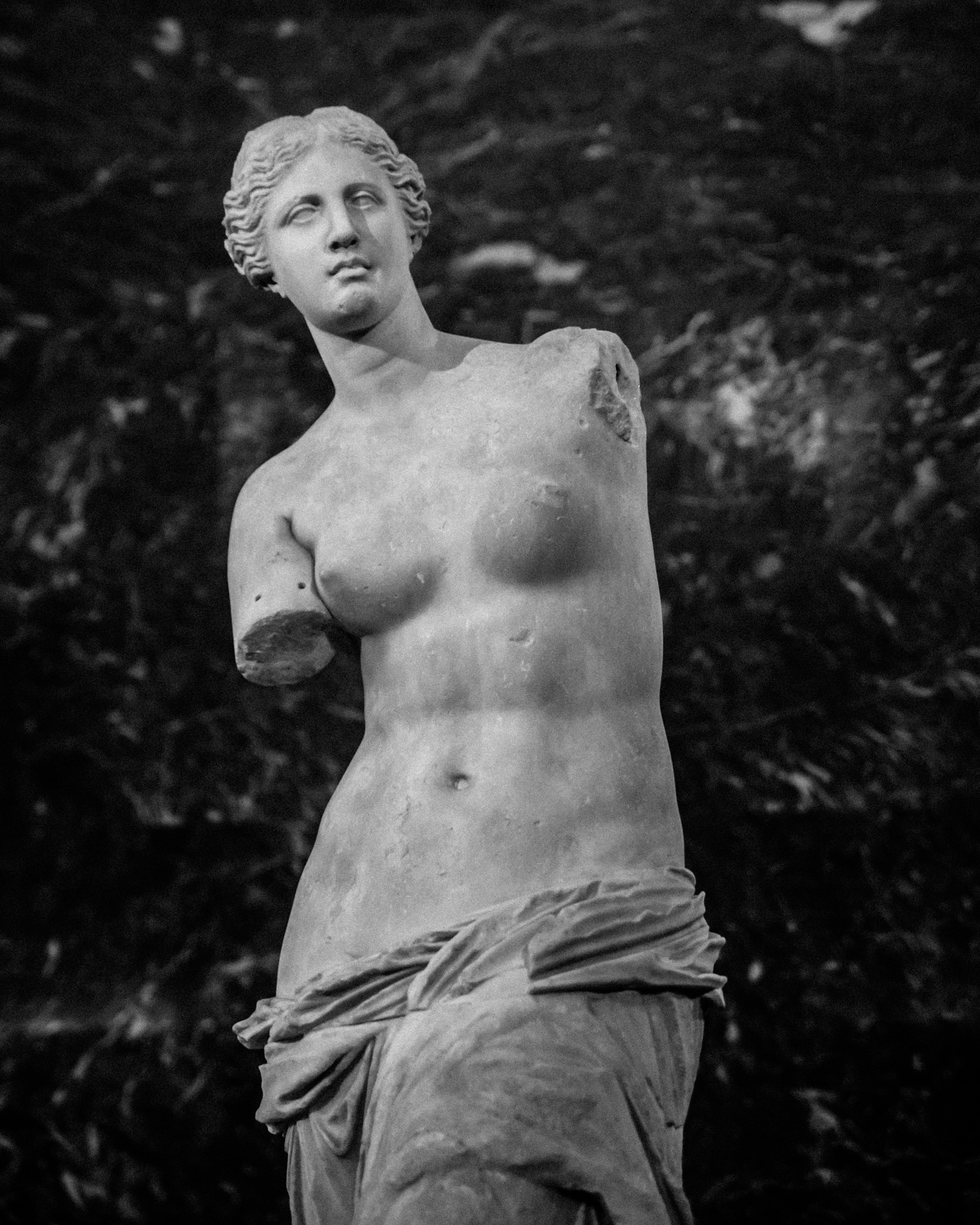 Sterling_Sanders_-_venus_de_milo-1.jpg